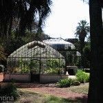 Arquitectura Invernadero Botanico